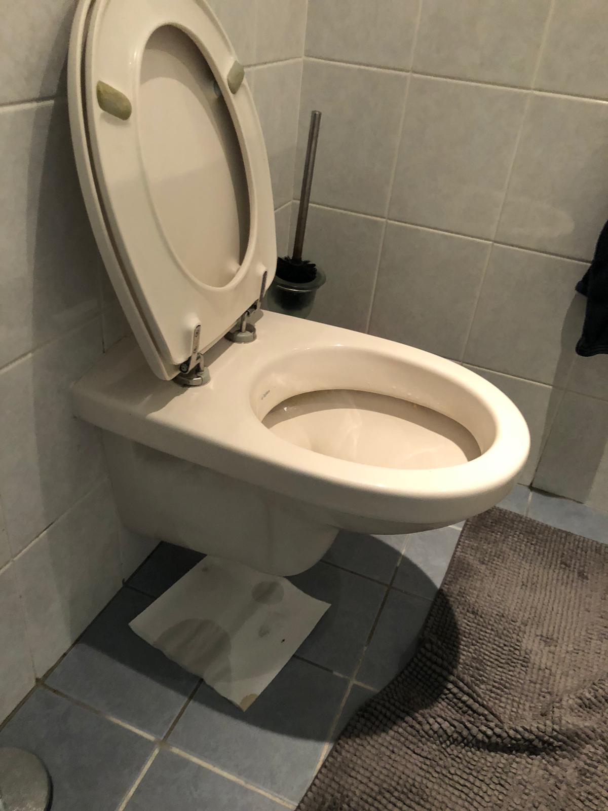 hangtoilet Hoogland